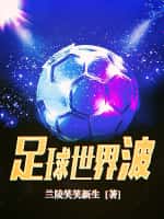 《足球世界波》（校对版全本）作者：兰陵笑笑新生-知轩藏书