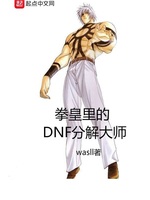 《拳皇里的DNF分解大师》（校对版全本）作者：wasll-知轩藏书