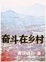 《奋斗在乡村》（校对版全本）作者：青埂峰石-知轩藏书
